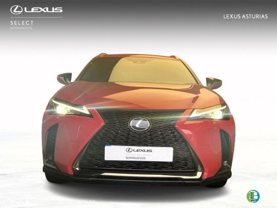  Lexus UX 2.0 250h F Sport -  