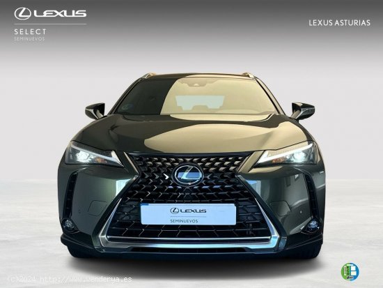  Lexus UX 2.0 250h Premium -  