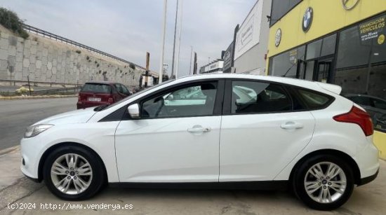 FORD Focus en venta en Murcia (Murcia) - Murcia