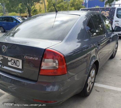 Skoda Octavia 1.9 TREND de 2009 con 220.000 Km por 5.700 EUR. en Zaragoza