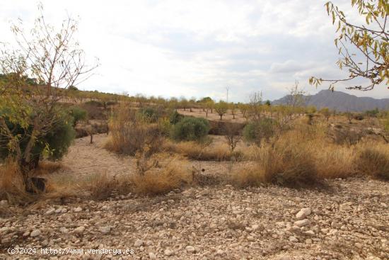  Terreno en Hondon de los Failes - ALICANTE 