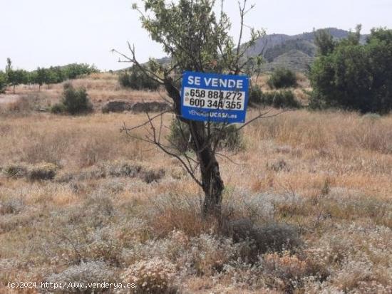 Terreno en la Alquebla - ALICANTE