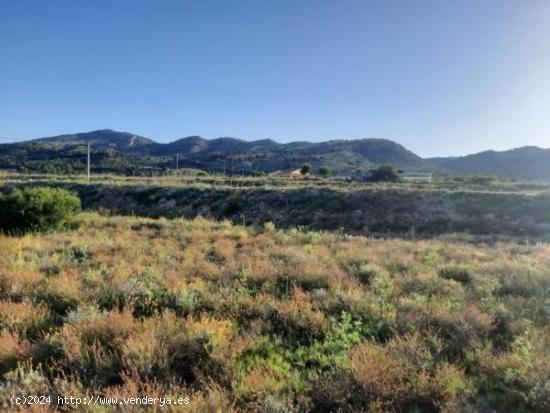 Terreno en la Alquebla - ALICANTE