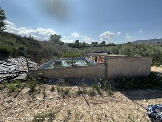 Parcela de terreno Rural cercana al casco urbano - ALICANTE