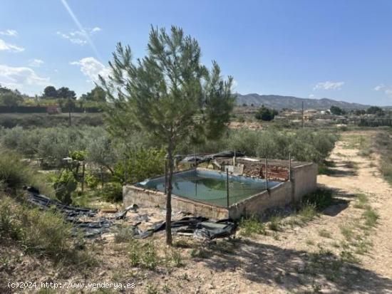 Parcela de terreno Rural cercana al casco urbano - ALICANTE