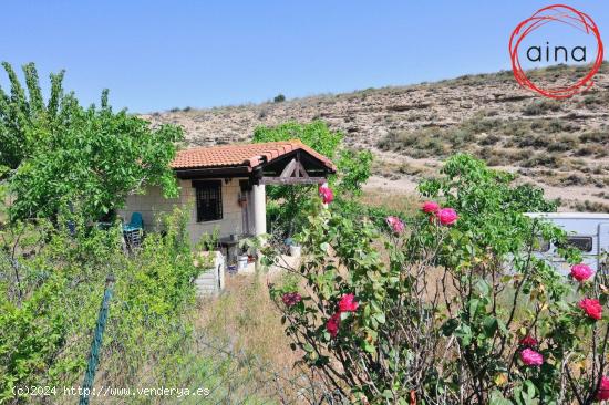  MIRANDA DE ARGA. SE VENDE FINCA RÚSTICA - NAVARRA 