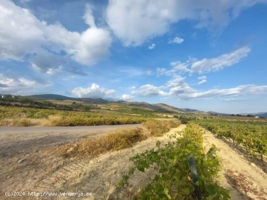 FINCA DE VIÑAS LAUJAR DE ANDARAX - ALMERIA