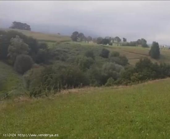 Terreno rustico en Barcena de Carriedo - CANTABRIA