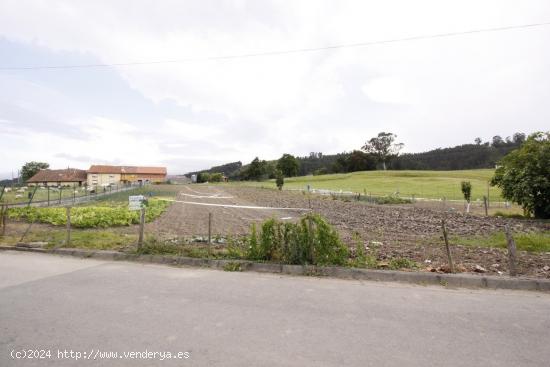  Parcela Urbana en Abaño- San Vicente de la Barquera - CANTABRIA 