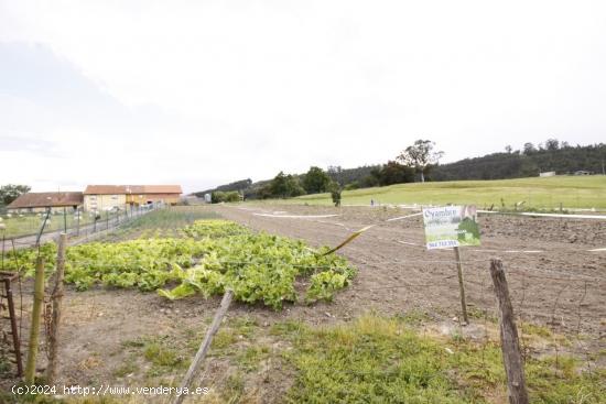 Parcela Urbana en Abaño- San Vicente de la Barquera - CANTABRIA