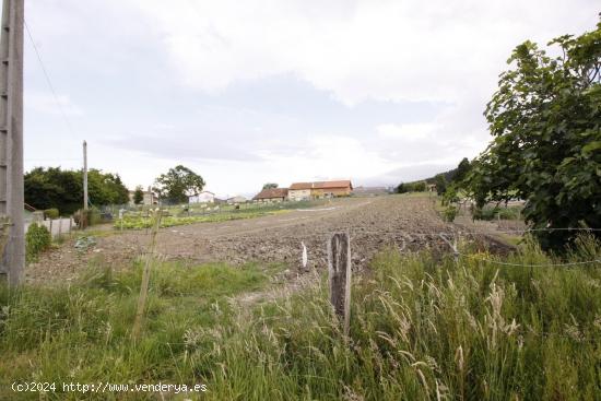 Parcela Urbana en Abaño- San Vicente de la Barquera - CANTABRIA