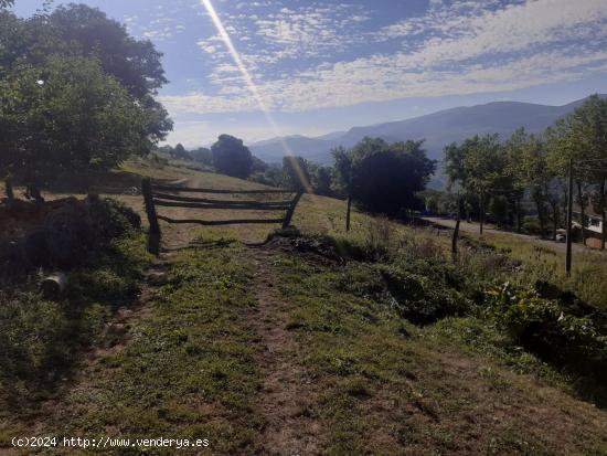 SE VENDE PARCELA EN VILLAVERDE-SOBA (CANTABRIA) - CANTABRIA