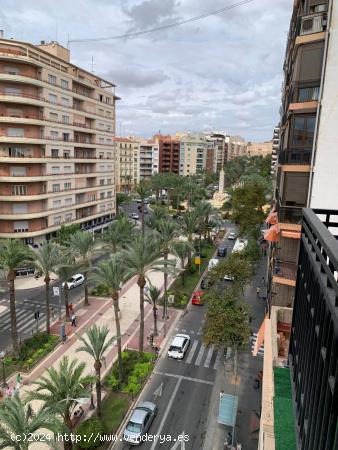 Magnífico piso reformado en el centro de Alicante - ALICANTE