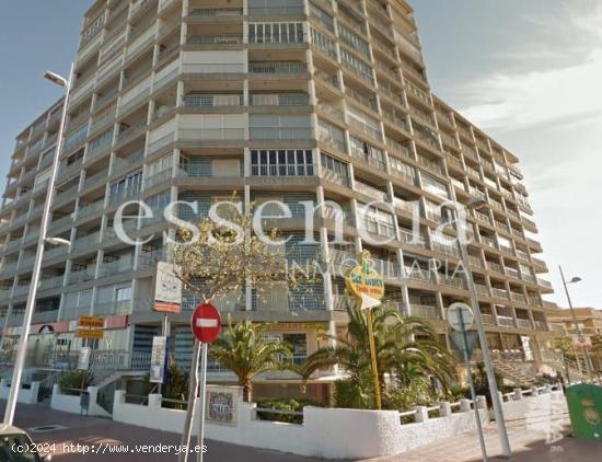 Local comercial en 1era. linea de Playa de Gandía - VALENCIA