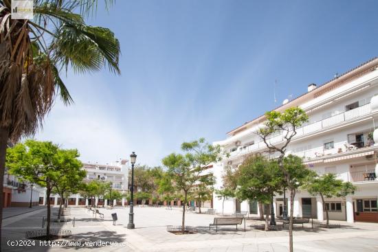  PISO EN PLAZA DE LAS INFANTAS - CADIZ 