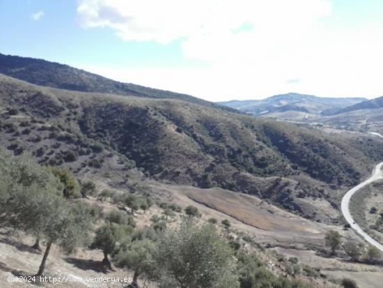 SE VENDE FINCA EN MONTECORTO CON VISTAS A SIERRA DE GRAZALEMA - MALAGA