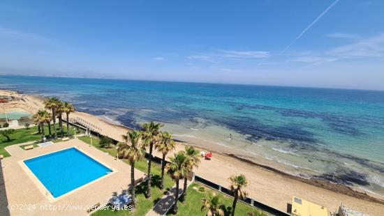  Apartamento en ARENALES DE SOL - ALICANTE 