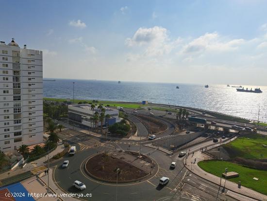  Se Alquila en Las Palmas de Gran Canaria - LAS PALMAS 