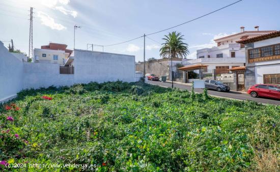 Terreno urbano en venta en centro de Tacoronte - SANTA CRUZ DE TENERIFE