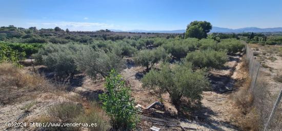 ++Terreno no urbano en Molina de Segura zona El romeral++, 1500 m - MURCIA