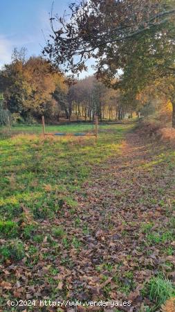 FINCA RUSTICA EN VENTA EN PADRON - A CORUÑA