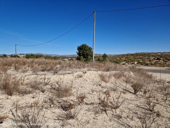 SE VENDE CONJUNTO DE PARCELA URBANAS EN CALASPARRA - MURCIA