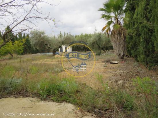 TERRENO CON PISCINA, EN ONTINYENT - VALENCIA