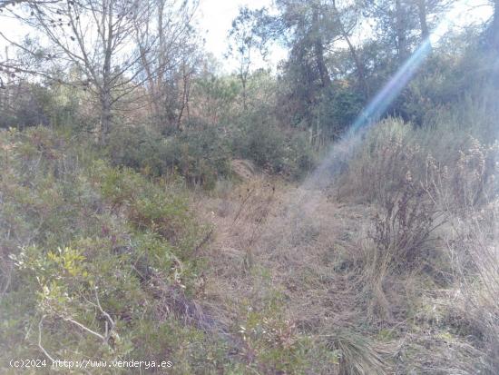 TERRENO URBANO EN VENTA EN EL PONT DE VILOMARA I ROCAFORT (RIVER PARK) - BARCELONA