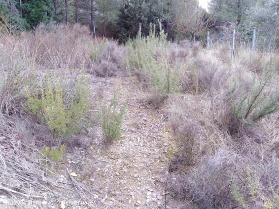 TERRENO URBANO EN VENTA EN EL PONT DE VILOMARA (RIVER PARK) - BARCELONA