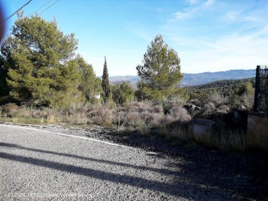 TERRENO URBANO CON PRECIOSAS VISTAS A MONTSERRAT EN VENTA EN CASTELLBELL I EL VILAR. - BARCELONA