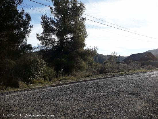 TERRENO URBANO CON PRECIOSAS VISTAS A MONTSERRAT EN VENTA EN CASTELLBELL I EL VILAR. - BARCELONA