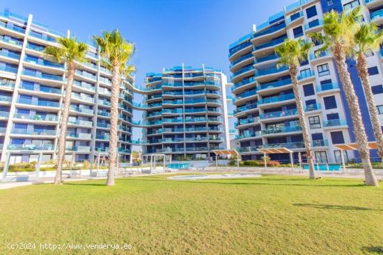  APARTAMENTO PRIMERA LINEA PUNTA PRIMA - TORREVIEJA - ALICANTE 