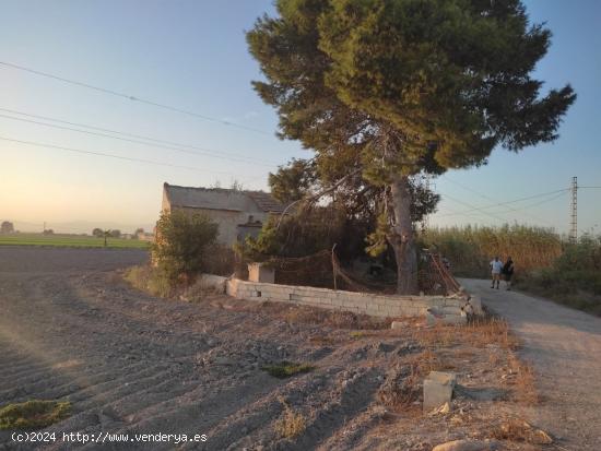  FINCA RÚSTICA EN SAN FULGENCIO - ALICANTE - ALICANTE 