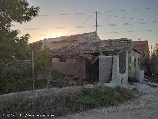 FINCA RÚSTICA EN SAN FULGENCIO - ALICANTE - ALICANTE