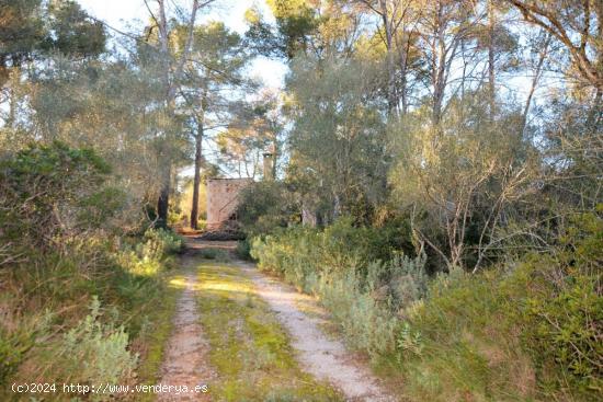  Casa de sueño con bosque propio - BALEARES 