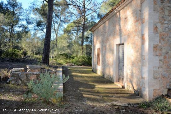 Casa de sueño con bosque propio - BALEARES