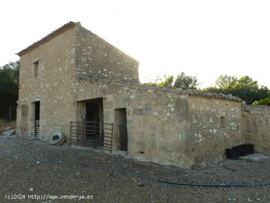  Preciosa finca rústica en Sant Joan con edificación - BALEARES 