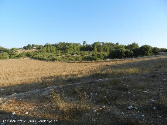 Preciosa finca rústica en Sant Joan con edificación - BALEARES