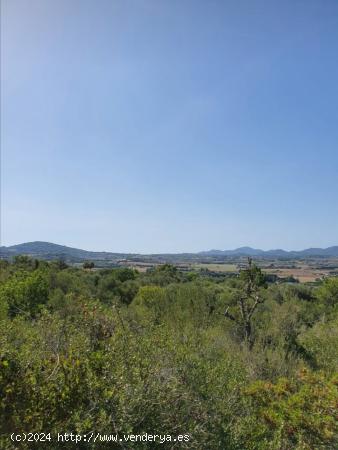 Solar con vistas despejadas. - BALEARES