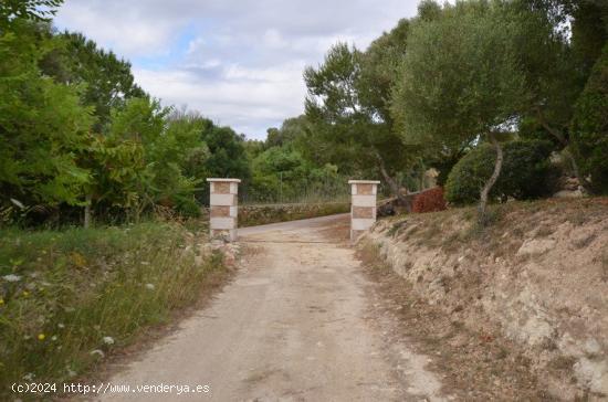 En San Lorenzo bonita rústica con licencia de alquiler turístico - BALEARES