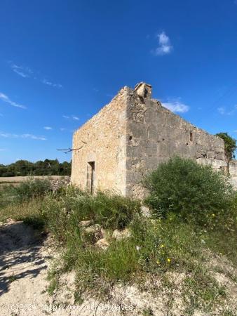  Finca edificable zona Sa Rotana de Manacor - BALEARES 