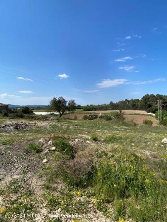 Finca edificable zona Sa Rotana de Manacor - BALEARES