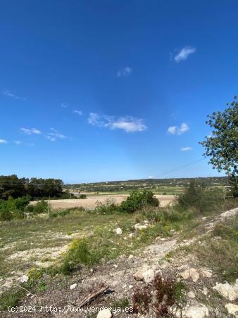 Finca edificable zona Sa Rotana de Manacor - BALEARES