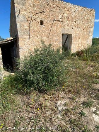 Finca edificable zona Sa Rotana de Manacor - BALEARES