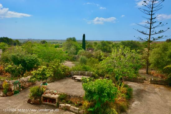 FINCA RUSTICA MALLORQUINA CON MARAVILLOSAS VISTAS!! - BALEARES