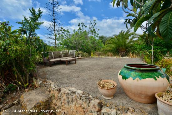 FINCA RUSTICA MALLORQUINA CON MARAVILLOSAS VISTAS!! - BALEARES