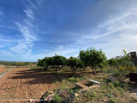  Finca rustica con vistas al mar. - BALEARES 