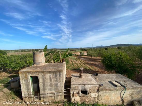 Finca rustica con vistas al mar. - BALEARES