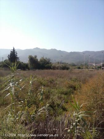 Parcela no urbana en la costera sur de la Alberca. - MURCIA