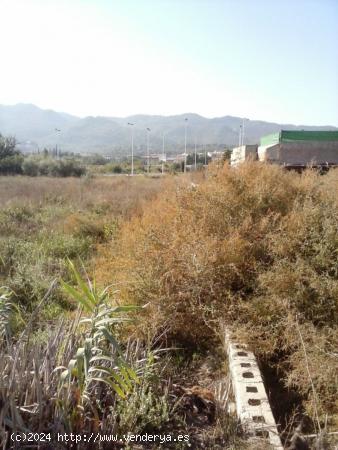 Parcela no urbana en la costera sur de la Alberca. - MURCIA